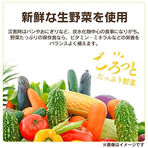 アイリスオーヤマ きのこ汁 パウチ 250g ×36個 非常食 保存食 長期保存 (製造から) 5年