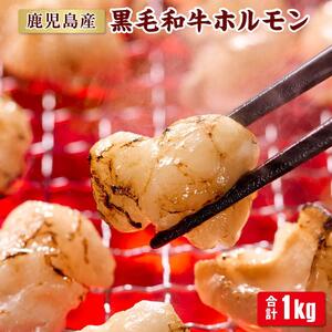 鹿児島産黒毛和牛ホルモン 合計1kg [200g×5袋]