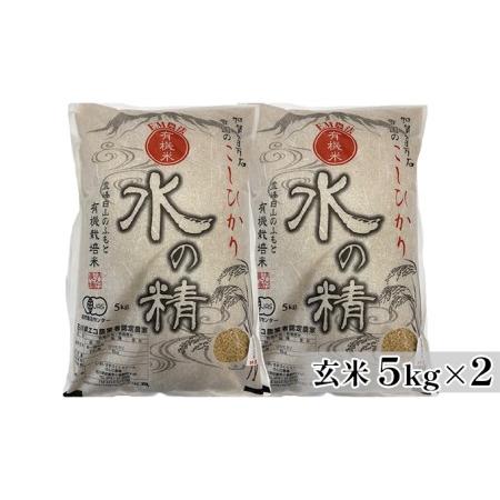 ふるさと納税 有機米こしひかり「水の精」玄米5kg×2個 石川県能美市