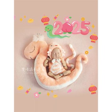 新生兒攝影道具 蛇年服裝生肖寶寶攝影 蛇寶寶靠枕衣服蛇玩偶道具