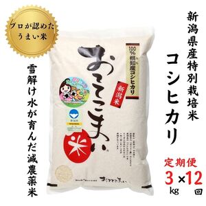 新潟県産 特別栽培米コシヒカリ3kg×12回「おててこまい」100%根知産 減農薬 令和5年産 専門家お墨付き 産地直送 糸魚川 こしひかり