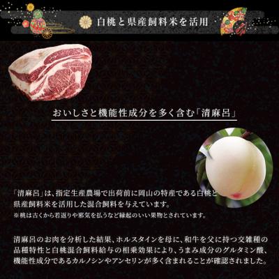 ふるさと納税 瀬戸内市 清麻呂 牛 ロース ステーキ肉 約1.08kg(約180g×6枚) [No.5735-1737]