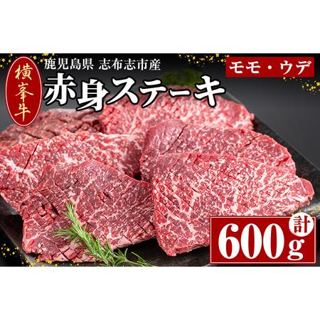 ふるさと納税 鹿児島県志布志市産(国産交雑種) 横峯牛の赤身ステーキ(600g・6〜8枚入り) b0-164 鹿児島県志布志市