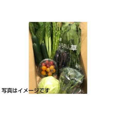 ふるさと納税 イーハトーヴ野菜A お試しセット 7〜8品 詰め合わせ  岩手県花巻市