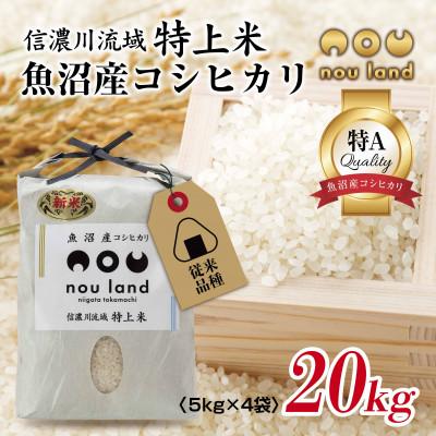 ふるさと納税 十日町市 農家直送 魚沼産 コシヒカリ 従来品種 5kg ×4袋 計20kg 新潟県 十日町市 のうランド