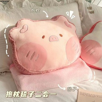 【抱枕毯子二合一】午睡枕 汽車靠墊 沙發辦公抱枕 被子兩用 小毯子 考研夏涼被子 抱枕沙發 趴睡枕 靠枕 沙發抱枕 汽車