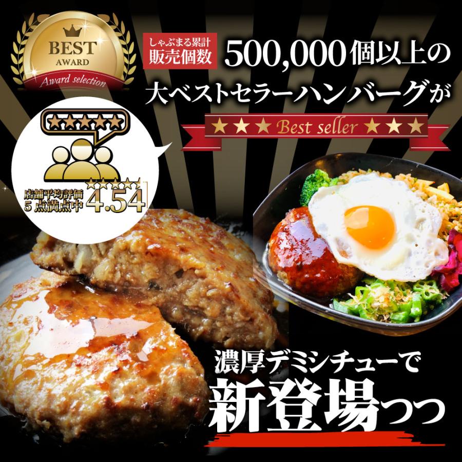 デミハンバーグシチュー 220g×5食セット ハンバーグ 肉 牛肉  ホワイトデー ギフト 食品 お祝い デミグラスソース 温めるだけ レンジ 冷凍 送料無料