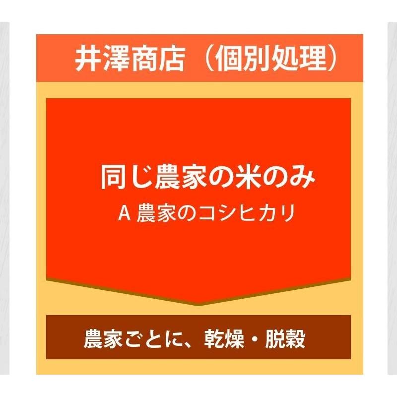 ＼新米入荷／ 米 玄米 5kg きぬむすめ 厳選農家 玄米 白米 選択可 令和5年兵庫県産 産地直送