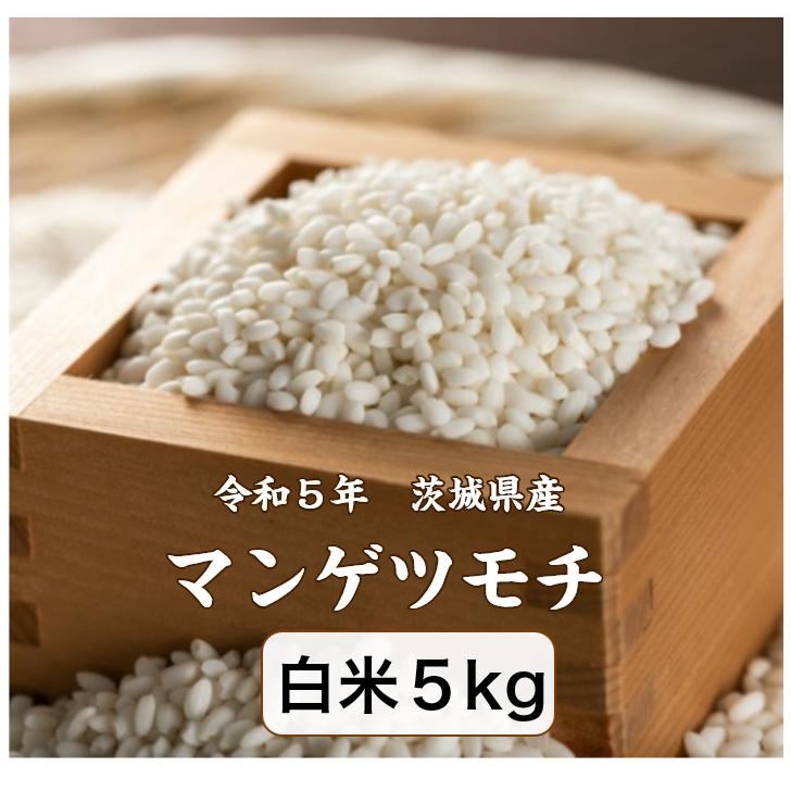 もち米 5kg「５年茨城県産 マンゲツモチ 白米5kg」送料無料