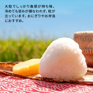 定期便 米 5kg 4ヶ月 令和5年 あきたこまち 5kg×4回 2ヶ月毎 精米 白米 ※毎年11月より新米