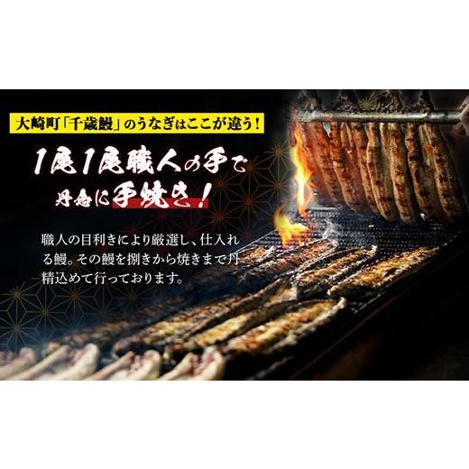 ふるさと納税 鹿児島県 大崎町 鹿児島県大隅産　千歳鰻の白焼4尾・蒲焼き4尾