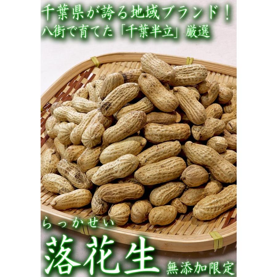 千葉半立 やちまた落花生 350g 千葉県・八街市産 半立ち厳選の無添加らっかせい！地域ブランドの特産品