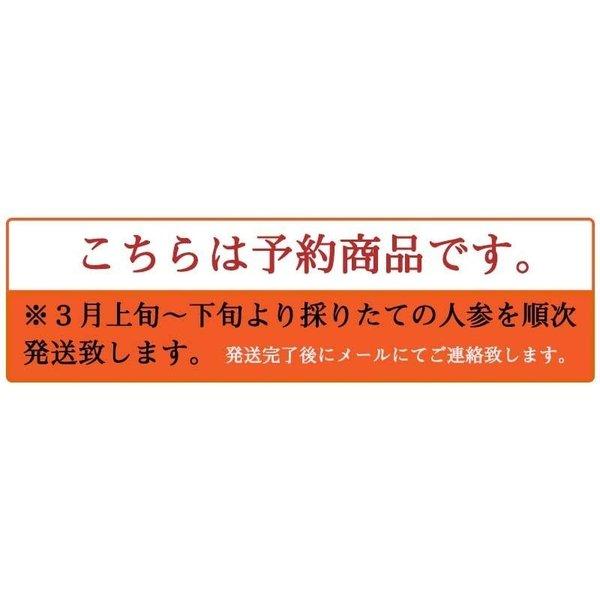 津堅島 にんじん 人参 3kg 送料無料 ｜人参 ｜