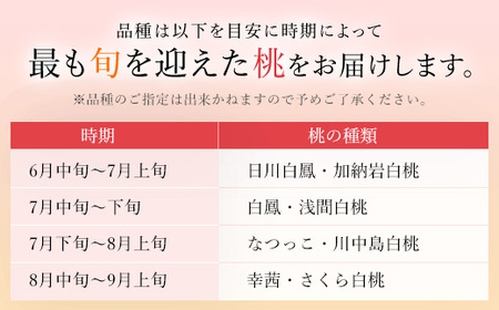 ＜2024年先行予約＞≪山梨直送≫山梨産「春日居の桃」特秀品・中玉3玉×2箱 合計1.5kg 203-002