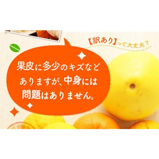 ふるさと納税 高知県 室戸市 柑橘詰め合わせセット（約２．５ｋｇ）