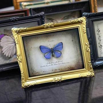 立體小相框 可磁吸 中空小相框 冰箱貼相框 展示相貼 裝飾相框 歐式古典 標本相框 昆蟲 蝴蝶相框 居家裝飾