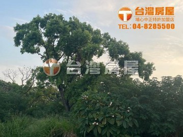 專-田尾海豐段低總價農保田｜彰化縣田尾鄉海豐段