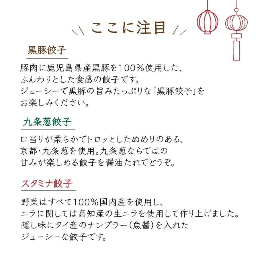 3種類のこだわり餃子セット　16個×3袋　醤油たれ×３袋　 タレ付き　送料無料　冷凍便