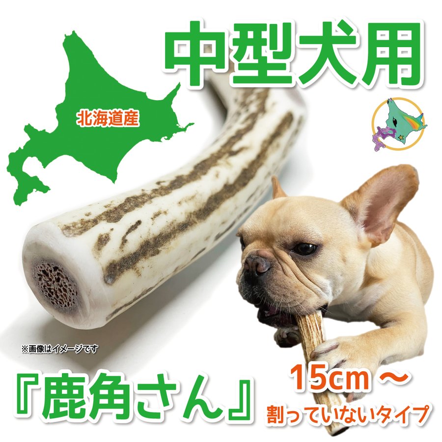 中型犬用 蝦夷鹿の角 『鹿角さん』 割っていないタイプ 1本 天然 無添加 北海道産 鹿の角 犬のおもちゃ 犬 かむおもちゃ エゾ鹿 エゾシカ ツノ  デンタル 鹿角 通販 LINEポイント最大0.5%GET | LINEショッピング