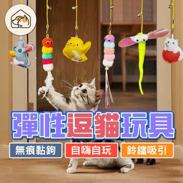 【自嗨貓玩具👍】彈力逗貓棒 逗貓彈簧 掛門式逗貓棒 掛勾逗貓玩具 掛門式盪鞦韆彈力懸掛逗貓棒 毛絨玩具 貓玩具 抖音
