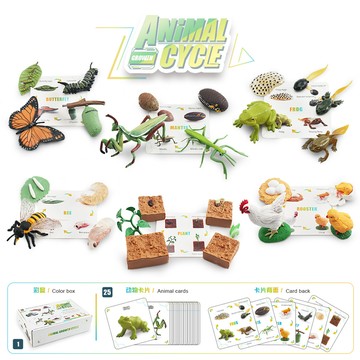 🌈「動物世界」兒童認知仿真成長周期彩盒套裝植物蜜蜂蝴蝶公雞青蛙螳螂模型