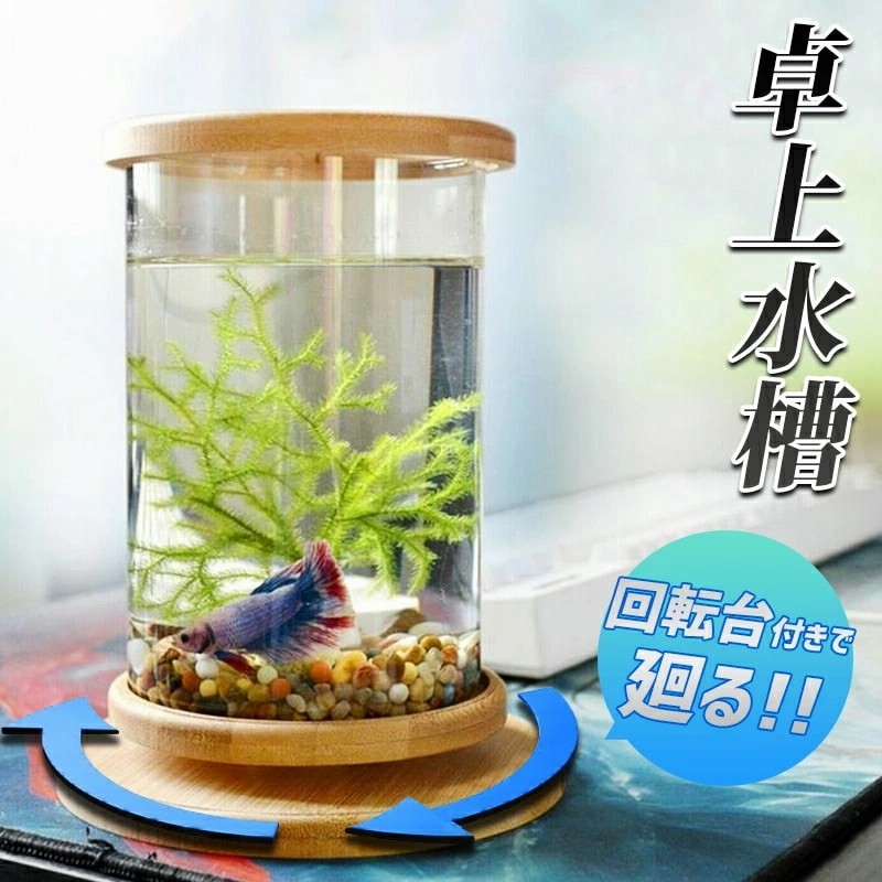 水槽 アクアリウム金魚鉢 卓上 Aquarium すいそう おしゃれ かわいい ベタ水槽 水 通販 Lineポイント最大1 0 Get Lineショッピング