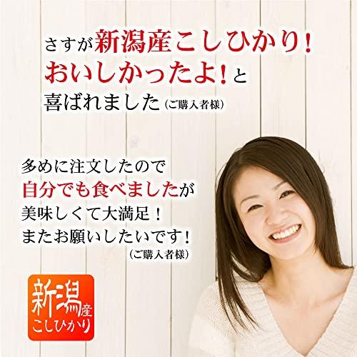 工事 挨拶 お米 名入れ 新潟産コシヒカリ 2合 4個セット 和柄華イエロー (リフォーム工事)