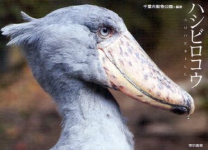 ハシビロコウ　千葉市動物公園 編著