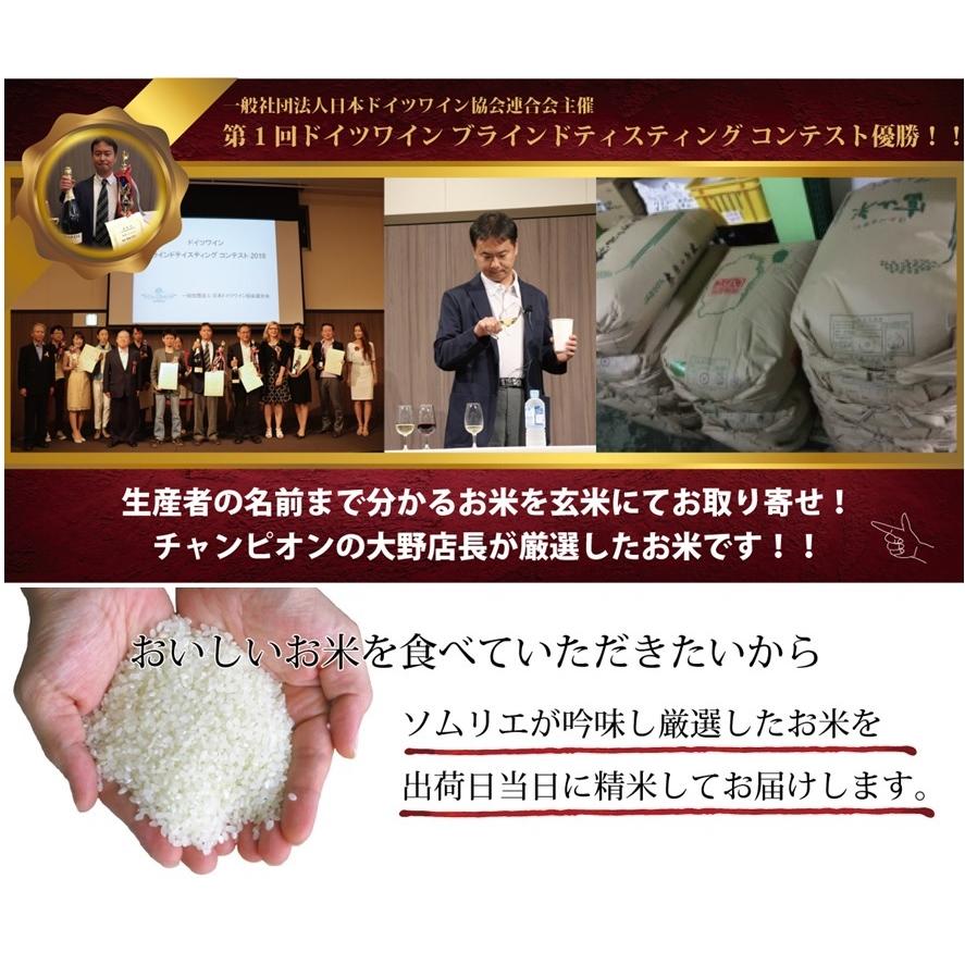 新米入荷　玄米仕立　石川県産　コシヒカリ　こしひかり　令和4年産　玄米5ｋｇ　お好みに精米してお届け　送料無料　一部除く