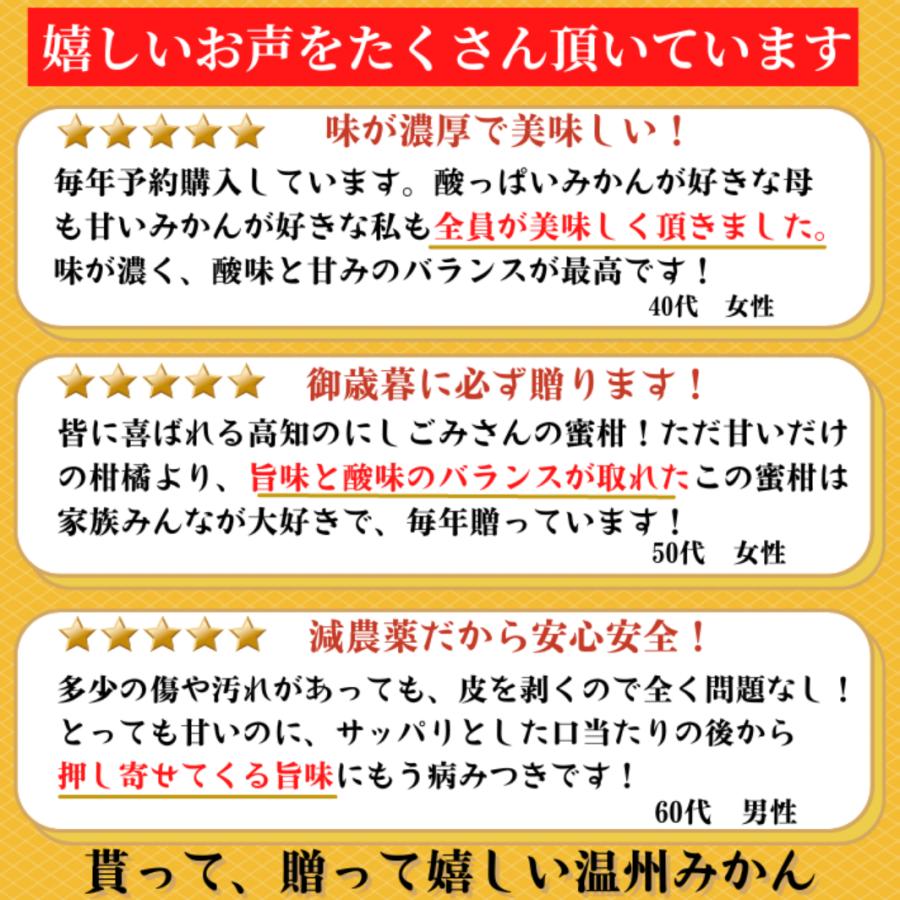 10月下旬発送 高知県産 減農薬 温州みかん 優品 5kg 石灰質の土壌で育てた蜜柑