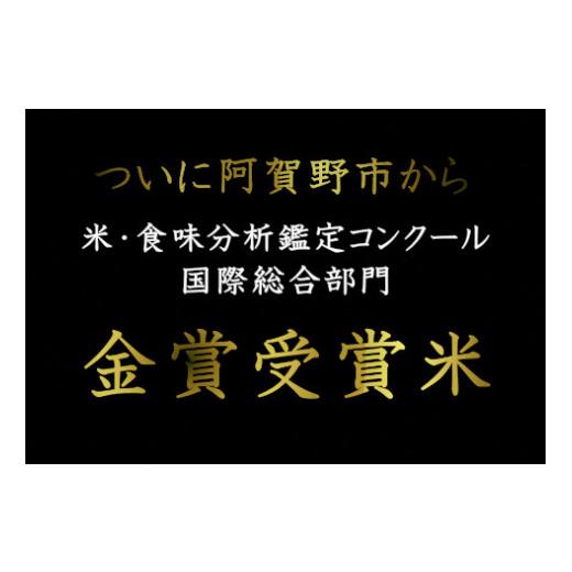 ふるさと納税 新潟県 阿賀野市 コシヒカリ「やまびこ米」5kg×12回 玄米黒酢農法 金賞受賞 特別栽培米 白米 精米 農家直送 新米は10…