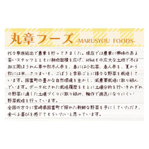 ふるさと納税 宮崎県 国富町 先行予約受付中！＜数量限定！ 国富町産 熟成シルクスイート 約5kg＞2023年12月中旬より順次出荷