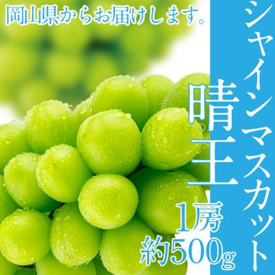 ふるさと納税 総社市 2024年分　先行受付　シャインマスカット晴王　1房