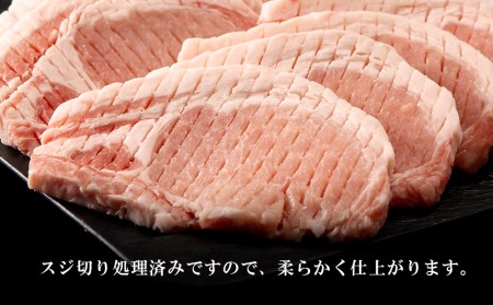 北海道産 白老豚 ロース とんかつ用 100g×12枚