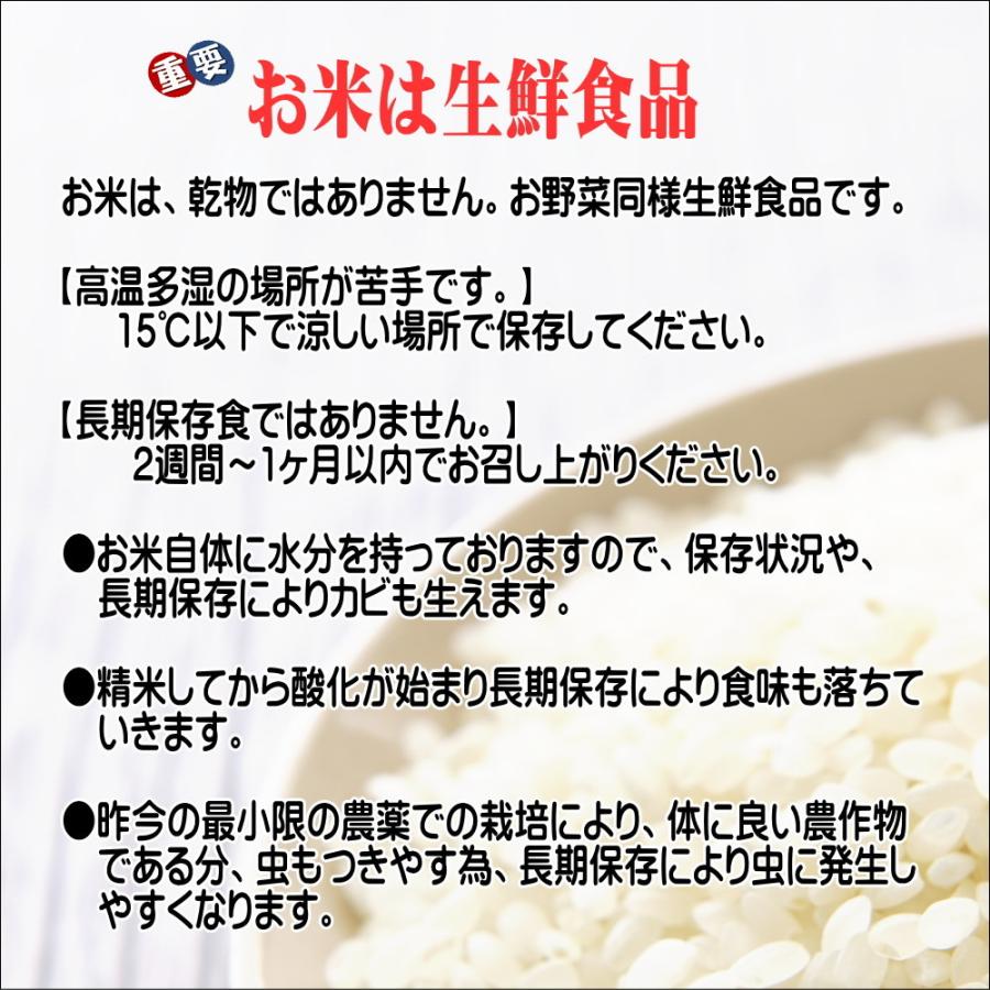 米 5kg お米 無洗米 いちおし米 岩手の米屋オリジナルブレンド コメ ご飯 送料無料