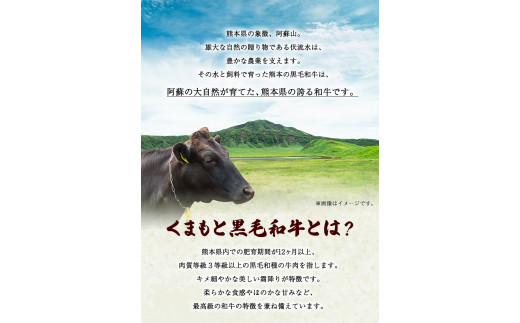 くまもと黒毛和牛 肩ロース 焼肉用 800g 肉のみやべ 《90日以内に順次出荷(土日祝除く)》 焼肉 チンジャオロースー チャーハン