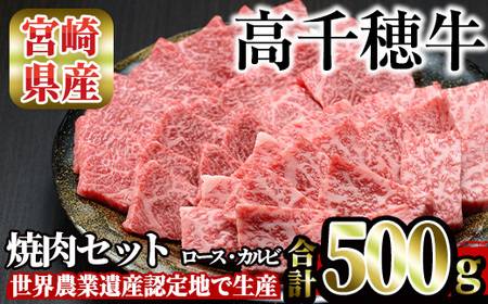 高千穂牛 焼き肉セット(ロース・カルビ各250g)