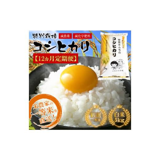 ふるさと納税 茨城県 行方市 L-9 　令和5年産田宮さんちのコシヒカリ 5kg×12回