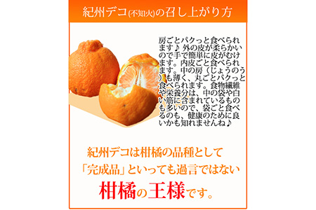 高級ブランド田村の完熟紀州デコ(不知火) ※2024年2月下旬頃～3月下旬頃に順次発送予定