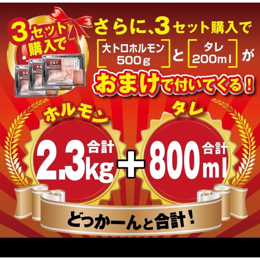 お歳暮 2023 ギフト 御歳暮 のし ホルモン 焼肉 ホルモン焼き お取り寄せグルメ ギフト BBQ  肉 牛肉 牛ホルモン  国産大トロ ホルモン 600g  味噌味