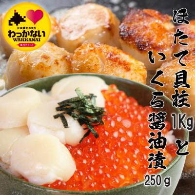 ふるさと納税 稚内市 天然生ほたて1kg と 秋鮭いくら醤油漬250g