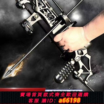 【台灣公司 可開發票】反曲弓弓箭射擊運動專業射箭套裝傳統復合弓戶外高精度弓合金武器