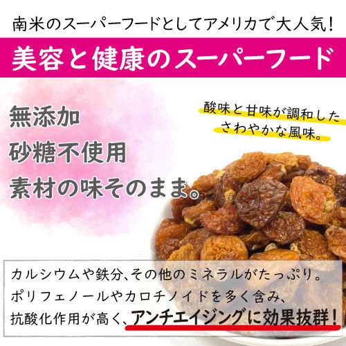 インカベリー　500g　送料無料 ゴールデンベリー ゆうパケット