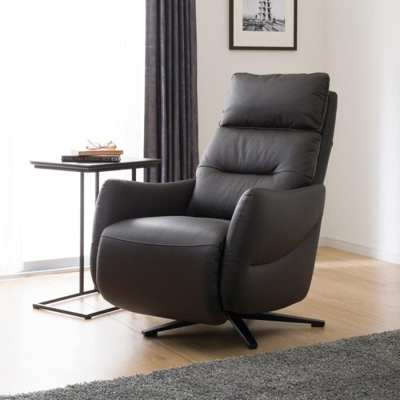 ニトリ 電動リクライニングパーソナルチェア (2モーターLE01DBR) 電動