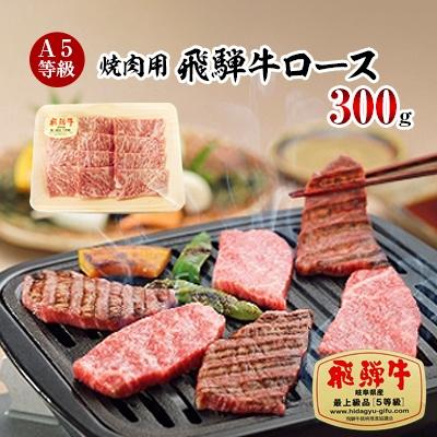 ふるさと納税 輪之内町 A5等級 飛騨牛ロース焼肉用300g(冷凍)