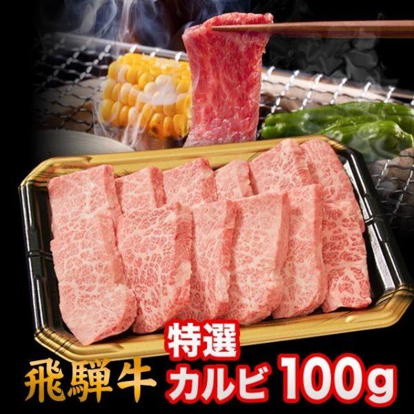  飛騨牛 焼肉 特選カルビ 100g 特上カルビ 上カルビ A5 A4 ランク 牛肉 和牛 国産 焼肉用