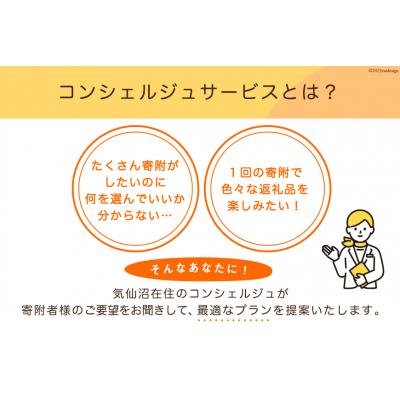 ふるさと納税 気仙沼市 コンシェルジュ サービス 寄付金額 50万円 オーダーメイド プラン [20561983]