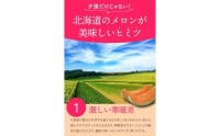 7-011 2023年7月中旬以降配送予定 期間限定 北海道産赤肉メロン（中玉）（1玉）