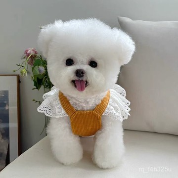 【限時特賣】寵物衣服  寵物搞怪衣服 []寵物衣服秋冬新款燈芯絨南瓜裙牽引扣泰迪比熊狗狗貓咪保暖蕾絲裙