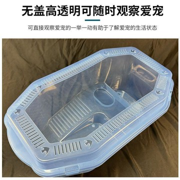 ⭐限時下殺🔥烏龜缸家用烏龜八角缸寵物盒透明側排造景烏龜缸專用缸龜池養殖箱